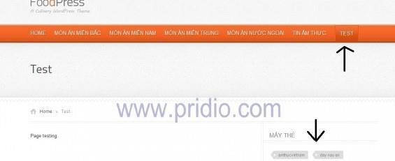 Nếu bạn chọn Full Width Page Thanh side bar sẽ biến mất và Page test sẽ chỉ hiển 13