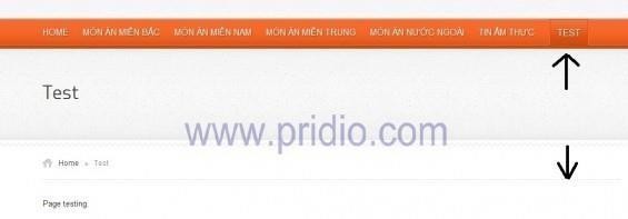 Khi tạo xong một Page bạn có thể tạo Page con nằm dưới page đó Qu trình lập 15