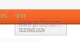 2 Sự khác nhau cơ bản giữa page và post Về bản chất page và post gần như giống 18