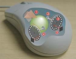 Cấu tạo bên trong của chuột bi Bên trong chuột bi có một viên bi cao su tỳ vào 7