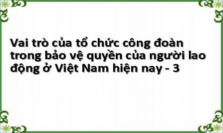 Vai trò của tổ chức công đoàn trong bảo vệ quyền của người lao động ở Việt Nam hiện nay - 3