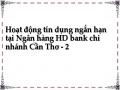 Hoạt động tín dụng ngắn hạn tại Ngân hàng HD bank chi nhánh Cần Thơ - 2