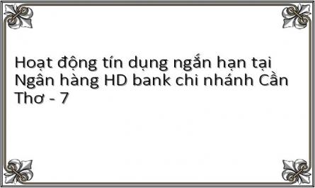 Hoạt động tín dụng ngắn hạn tại Ngân hàng HD bank chi nhánh Cần Thơ - 7