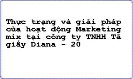 Thực trạng và giải pháp của hoạt động Marketing mix tại công ty TNHH Tã giấy Diana - 20