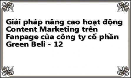 Giải pháp nâng cao hoạt động Content Marketing trên Fanpage của công ty cổ phần Green Beli - 12