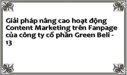 Giải pháp nâng cao hoạt động Content Marketing trên Fanpage của công ty cổ phần Green Beli - 13