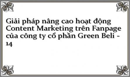 Giải pháp nâng cao hoạt động Content Marketing trên Fanpage của công ty cổ phần Green Beli - 14