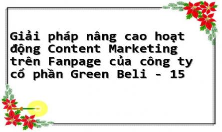 Giải pháp nâng cao hoạt động Content Marketing trên Fanpage của công ty cổ phần Green Beli - 15