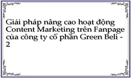 Giải pháp nâng cao hoạt động Content Marketing trên Fanpage của công ty cổ phần Green Beli - 2