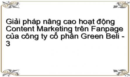 Giải pháp nâng cao hoạt động Content Marketing trên Fanpage của công ty cổ phần Green Beli - 3