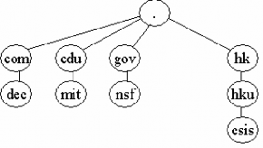 Loại tên Miêu tả Ví dụ Nó là đỉnh của nhánh cây Gốc của tên miền Nó xác 5