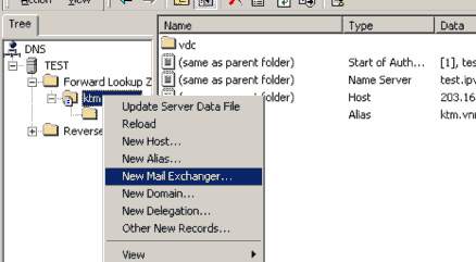 Sau khi bấm vào New Mail Exchanger sẽ xuất hiện cửa sổ cho phép tạo các thông 10