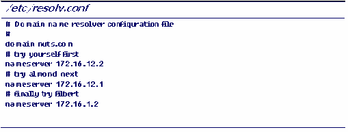 Với DNS client chỉ cần cấu hình file resolv conf Cài đặt DNS server Ta có thể lấy 15