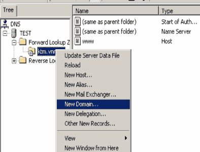 Sau khi bấm vào New Domain nó sẽ xuất hiện cửa sổ cho phép bạn điền tên miền 4