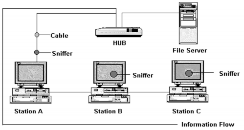 Hình 6 3 Các vị trí đặt sniffer trên 1 segment mạng Phương thức tấn công mạng 1