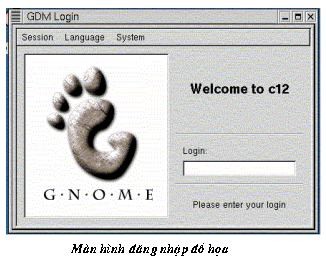 Trong Linux có một số loại giao diện đồ hoạ do một số tổ chức viểt ra Hai 1