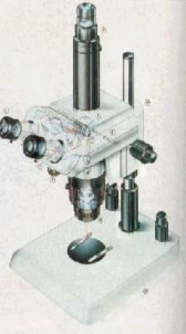 H×nh 30 H×nh 29 Các loại kính hiển vi H×nh 30 Các loại tủ hốt 287 H×nh 31 Các 35