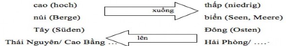 Khi giải thích giới từ trên và dưới tác giả đã miêu tả hệ thống cấp bậc 5