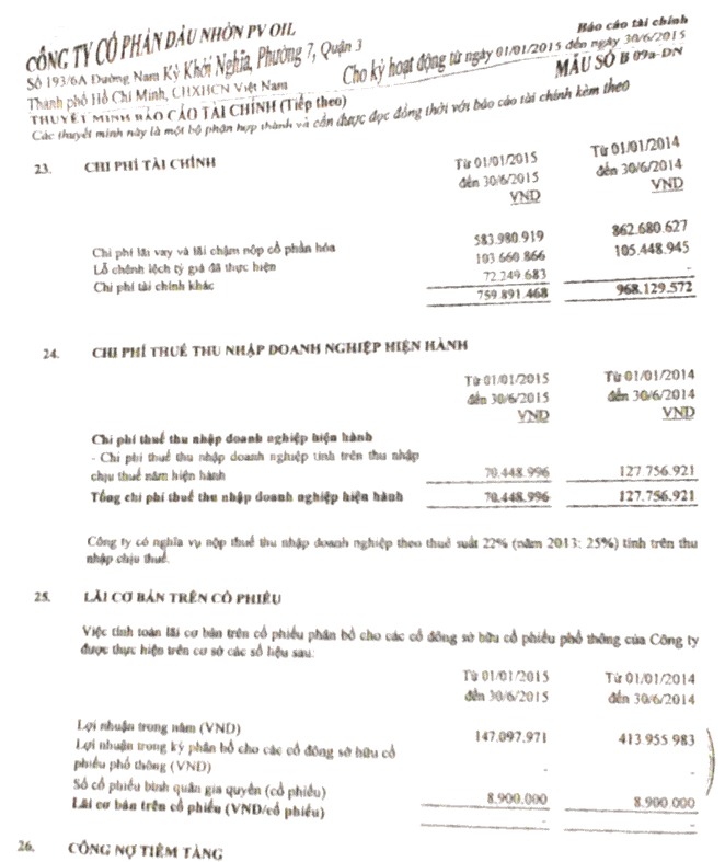 Phụ lục 5 3 Trích các mục 19 20 22 23 24 trên thuyết minh báo cáo tài chính 2