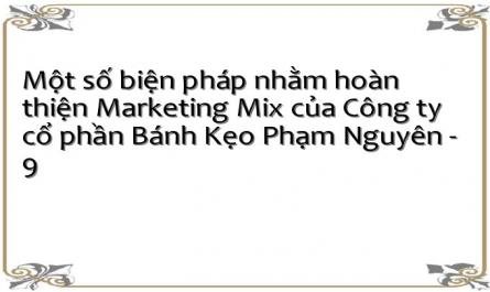 Một số biện pháp nhằm hoàn thiện Marketing Mix của Công ty cổ phần Bánh Kẹo Phạm Nguyên - 9
