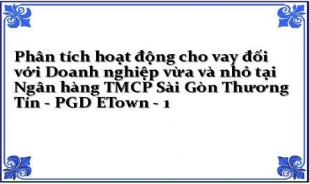 Phân tích hoạt động cho vay đối với Doanh nghiệp vừa và nhỏ tại Ngân hàng TMCP Sài Gòn Thương Tín - PGD ETown - 1