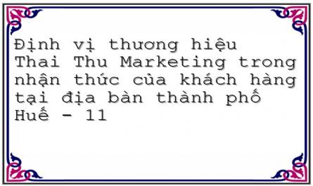 Các Câu Hỏi Liên Quan Đến Định Hướng Phát Triển Của Công Ty Thai Thu Marketing
