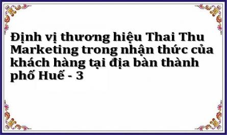 Định vị thương hiệu Thai Thu Marketing trong nhận thức của khách hàng tại địa bàn thành phố Huế - 3