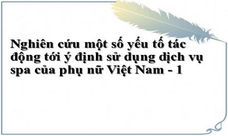 Nghiên cứu một số yếu tố tác động tới ý định sử dụng dịch vụ spa của phụ nữ Việt Nam - 1