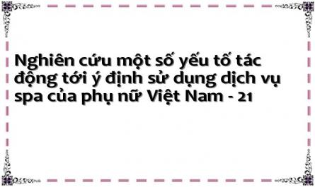 Nghiên cứu một số yếu tố tác động tới ý định sử dụng dịch vụ spa của phụ nữ Việt Nam - 21