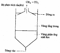 Hình 8 4 Thiết bị phản ứng ngược dòng qua lớp bùn kị khí Bộ phận tách này 2