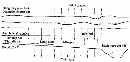 Hình 8 5 Các quá trình về xử lý bằng đất Tưới nước Tưới bằng nước 3
