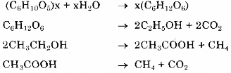 Các vi khuẩn này rất nhạy với sự thay đổi độ pH Khoảng pH hoạt động là 3