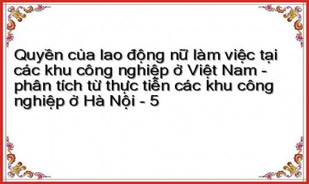 Chính Sách Của Đảng, Nhà Nước Việt Nam Về Lao Động Nữ