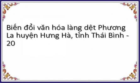 Biến đổi văn hóa làng dệt Phương La huyện Hưng Hà, tỉnh Thái Bình - 20