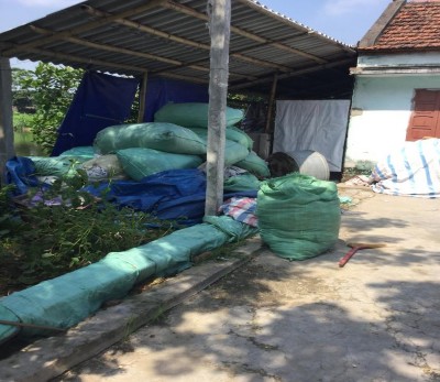 Ảnh 2 7 Tập kết thứ phẩm tại vườn Ảnh 2 8 Tập kết nguyên liệu dệt tại 7