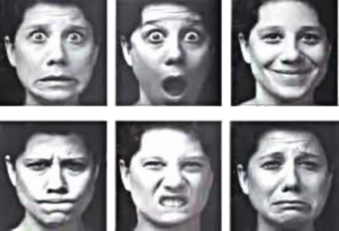 Ánh mắt là phương tiện giao tiếp không lời có khả năng chuyển tải không 1