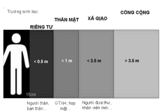Vị trí kiểu bàn ghế trong giao tiếp Trong môi trường văn phòng công sở hay trong 1