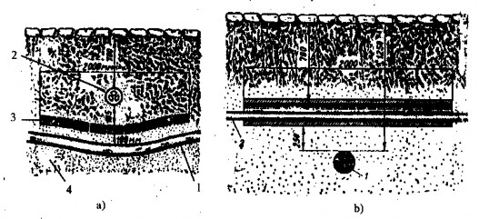 Hình 2 6 Vị trí cắt ngang của các đường cáp a Cáp cao áp và hạ áp 1 Cáp cao 4