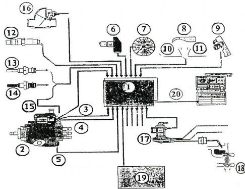 Hình 7 4 Sơ đồ điều khiển điện tử động cơ diesel 1 ECU 2 Bôm VE 3 Cảm biến 4