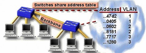 Hình 6 1 – VLAN sử dụng cơ chế lọc khung 6 2 2 Cơ chế nhận dạng khung Frame 1