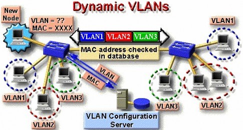 Hình 6 7 –Cài đặt VLAN động 6 8 Mô hình thiết kế VLAN với mạng đường trục 7