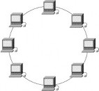 Bus topology Star topology Ring topology Hình 2 1 – Topology thường sử dụng cho mạng 4