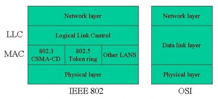 Hình 2 2 – Kiến trúc mạng cục bộ theo IEEE 802 2 6 Mạng Ethernet Thuật ngữ 5