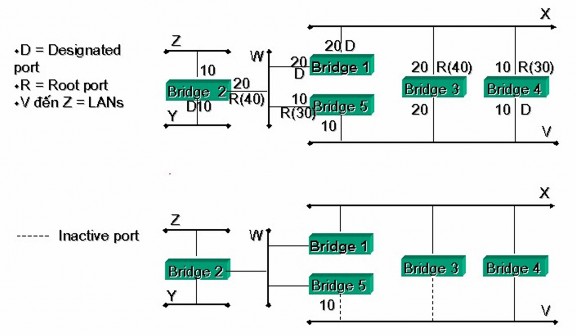 Hình 3 5 – Mạng xây dựng lại bằng giải thuật Spanning tree 3 2 2 Cầu nối xác 4