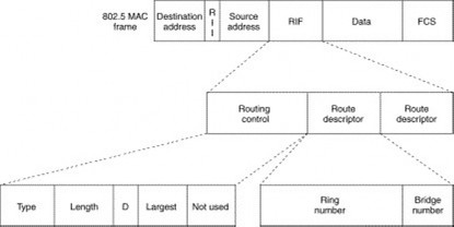 Trong đó Hình 3 7 Cấu trúc của trường thông tin về đường đi Routing Control 2