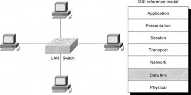 Hình 4 1 – Nối mạng bằng switch o Học vị trí các máy tính trên mạng o Chuyển 3