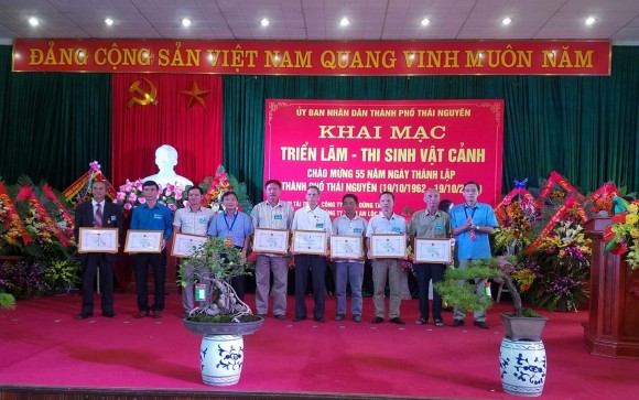 Ban Tổ chức trao giấy chứng nhận tham gia Triển lãm Thi sinh vật cảnh TPTN năm 6