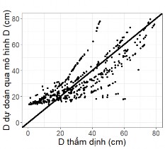 Gompertz D D m ×exp a×exp b×t Korf D D m ×exp a t b Mitscherlich D D m × 1 exp a×t Hình 3 34 2