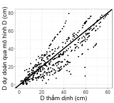 Mitscherlich D D m × 1 exp a×t Hình 3 34 Quan hệ giữa giá trị D thẩm định từ 1 10 4