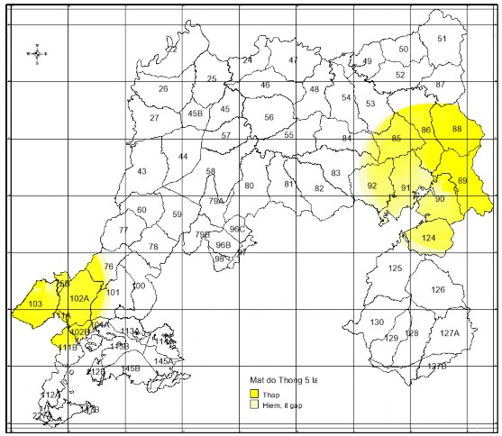 Hình 3 41 Bản đồ cấp mật độ quần thể Thông 5 lá ở VQG Bidoup Núi Bà Cấp 4